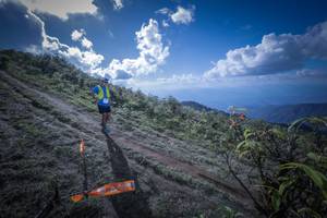 BIB: 5228
                            <button type="button" onclick="openModal(15955416)" class="btn btn-primary btn-sm float-right btn-popup" data-toggle="modal" data-target=".modal-high-quality">
                        <i class="fas fa-shopping-cart"></i> Add to Cart
                    </button>
                                            <button type="button" onclick="isThisMe(15955416, true)" class="btn btn-success btn-sm float-right btn-popup btn-isme hidden" data-toggle="tooltip" data-placement="bottom" title="นี่คือรูปของคุณใช่ไหม คลิกที่นี่เพื่อเอาเข้าอัลบั้ม">
                        <i class="fas fa-plus"></i> Add to album
                    </button>
                    <button type="button" onclick="isThisMe(15955416, false)" class="btn btn-warning btn-sm float-right btn-popup btn-isnotme hidden">
                        <i class="fas fa-ban"></i> Remove from album
                    </button>